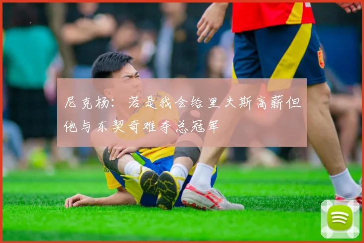尼克杨：若是我会给里夫斯高薪但他与东契奇难夺总冠军